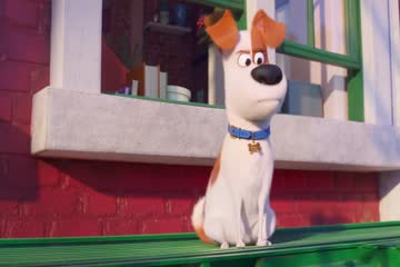 The Secret Life of Pets 2 2019 Dubb in Hindi thumb